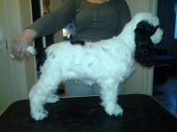 /album/patu/maalliskuu-020-jpg/